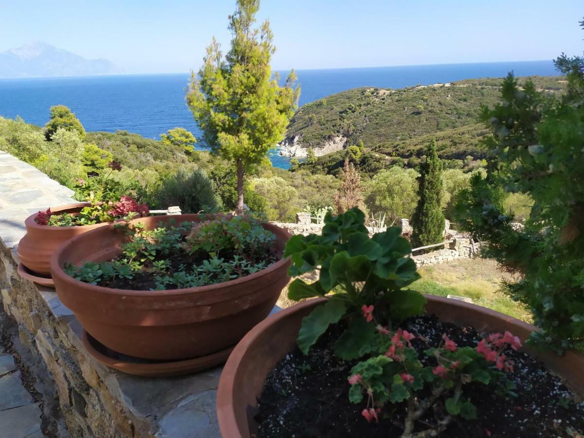 Villa Athos Sarti Exterior foto